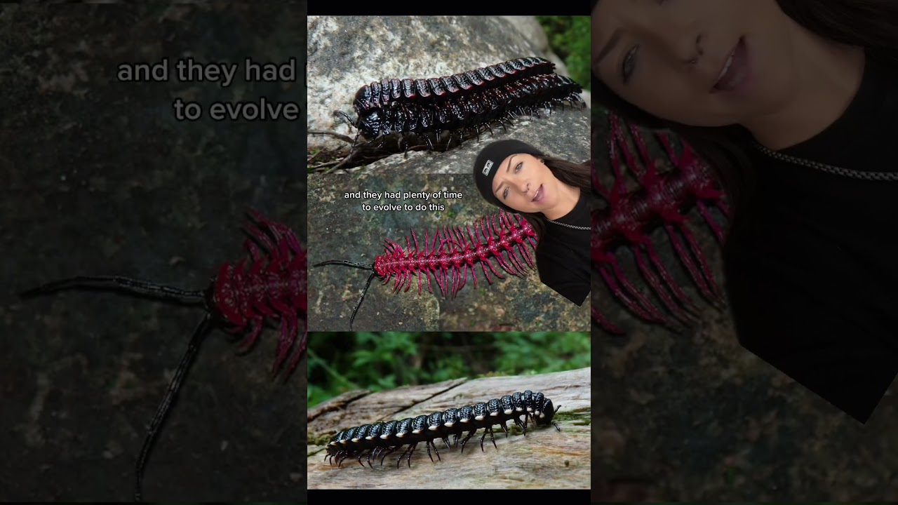 they produce CYANIDE