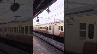 【しなの鉄道】１１５系　S9編成　台鉄色（台湾鉄道）　[Shinano Railway] 115 series S9 formation Taiwan Railway color