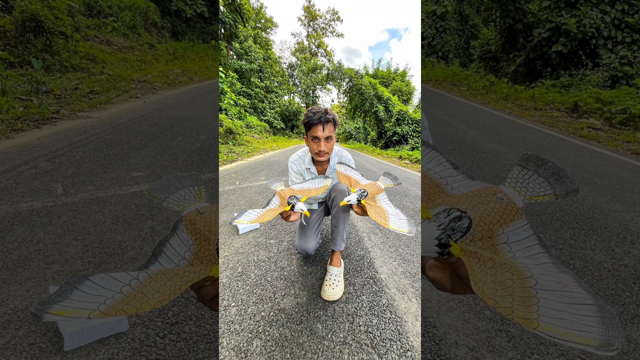 Electric Flying Bird with Hanging Wire Automatic for Rc Eagle 🦅 