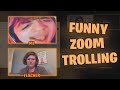 Trolling Hot Teachers on ZOOM... (Best of Online Trolling)