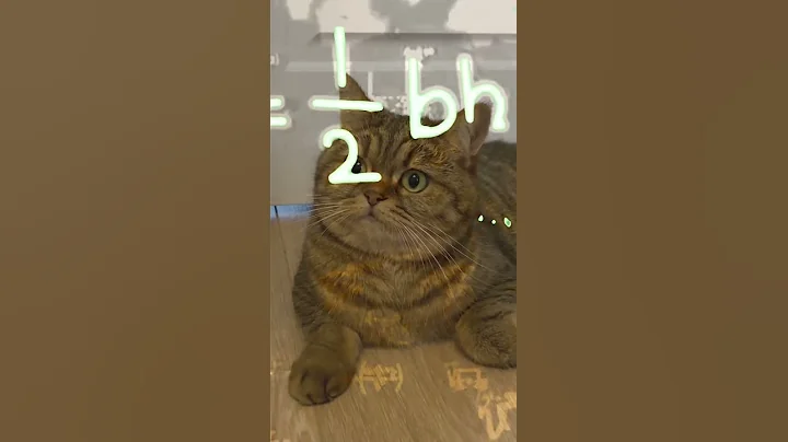 Video 1499581: cats meow funniest, awesome cute pets