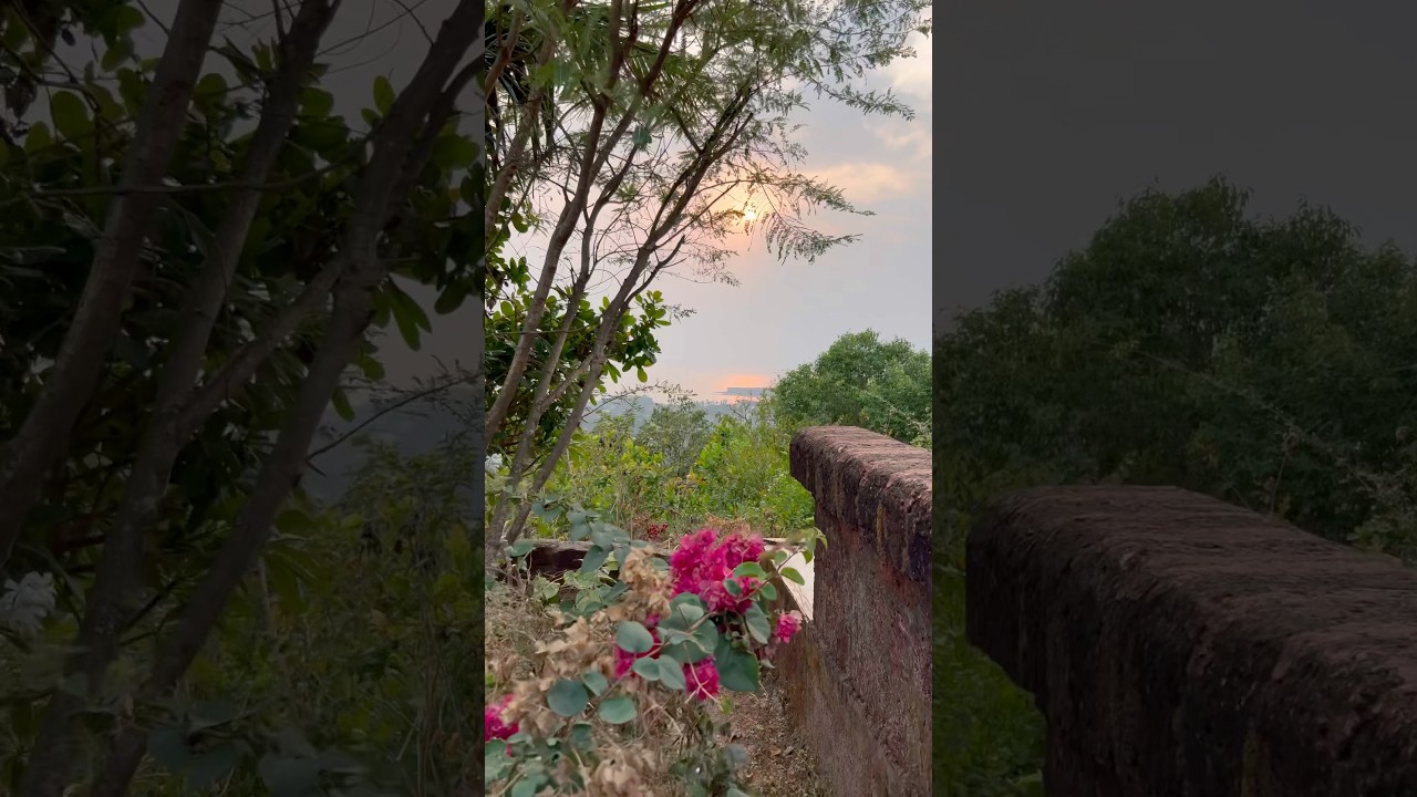 5 star hotel on the beach - Beats any Goa hotel? 