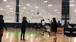 Setter Training 102819