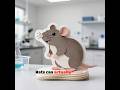 The Sound Rats Make When They're Happy Will Shock You #animals #viral