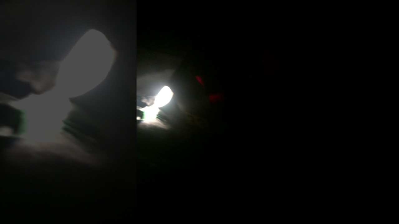 05 saber cat 600 efi mrbp can