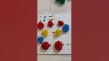 Brain Boosting Activity #shorts #diy #specialneeds #logicalthinking #direction #kids #youtubeshorts
