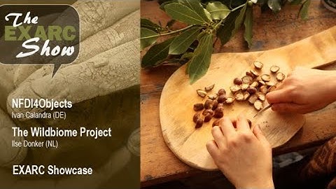 EXARC Showcase: NFDI4Objects & The Wild Biome Project