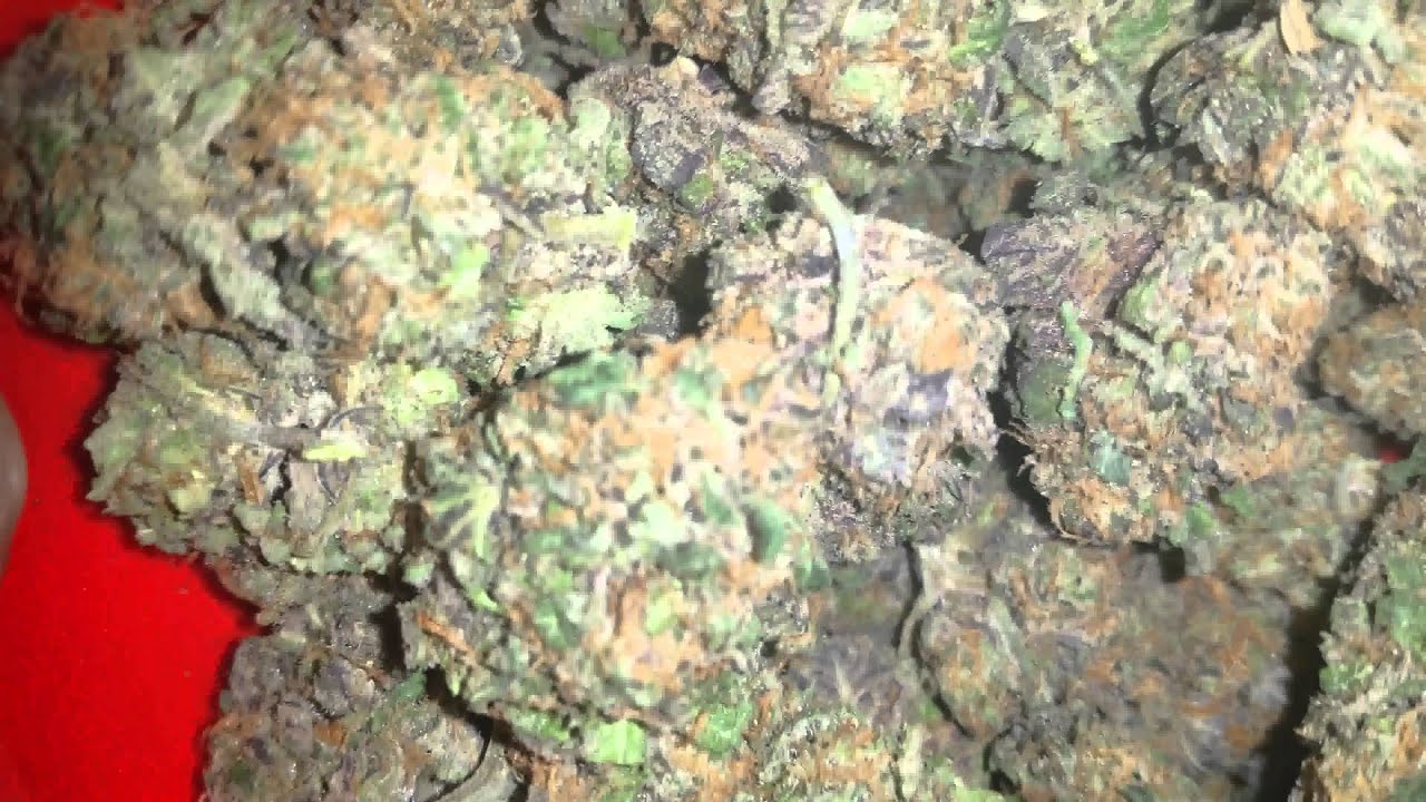 Hydro grown sunset sherbert cookies