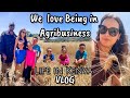 Agribusiness in kenya is amazing  wheat harvest  visiting great grandma  vlog