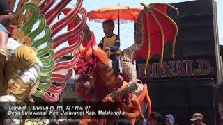 Order Udar Singa Dangdut