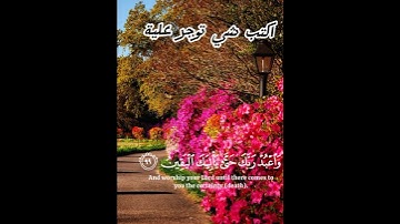 ايات من الذكر الحكيم.  تلاوه خاشعه ياسر الدوسري
