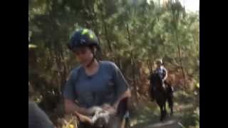 caballos 20150412 10