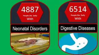Death Comparison: Human Kill Count Daily before COVID-19