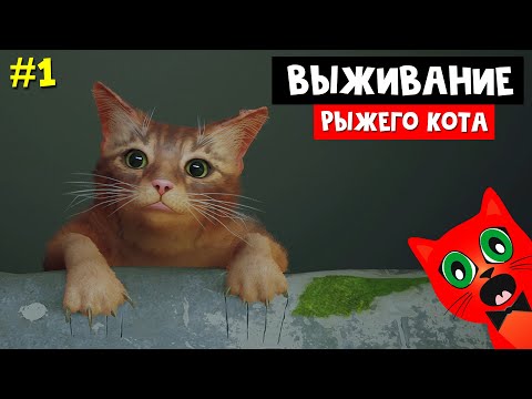 Приключения Кота В Кибергороде | Stray | Выживание Кота В Кибергороде. Эпизод 1