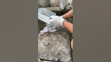 Thuốc diệt rong rêu chống trơn trượt, quá là hiệu quả lắm luôn