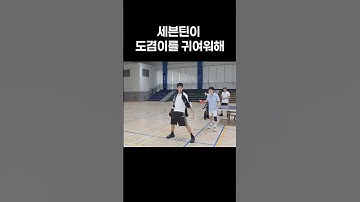 [세븐틴/도겸] 세븐틴이 도겸이를 너무 귀여워해