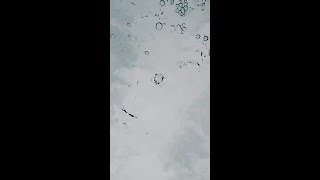 Indie Pop Guitar Samples Royalty Free | Lil Peep Artist Series Vol 2 | Beach Roads