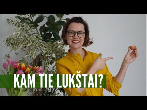 Video: Ar kiaušinių lukštus galima naudoti kaip trąšas?