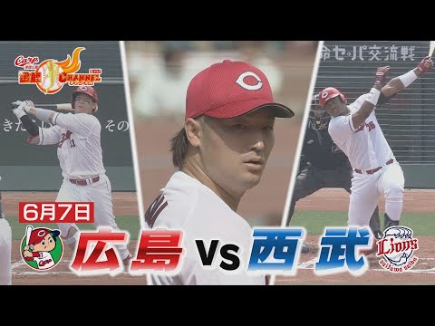 【きょうもさすがの床ちゃん！】6月7日 広島vs西武【カープ公認】金鯉チャンネル /広テレ！