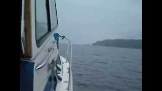 Skipjack 28