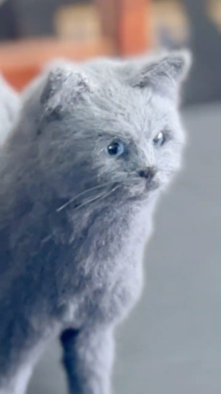 羊毛フェルト猫ちゃん66作目制作ダイジェスト #shorts - YouTube