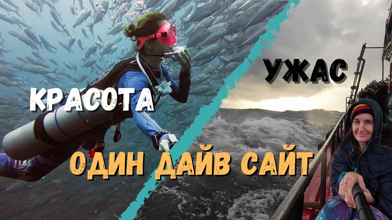 Дайвинг в Таиланде. Рай и ад на дайв сайте Sail Rock