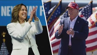 Harris and Trump campaigning for votes in pivotal Michigan