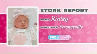 Stork Report 6.27.19