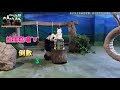 20170829 圓團13歲生日提前慶生❤生日快樂❤ The Giant Panda Yuan Yuan and Tuan Tuan pds