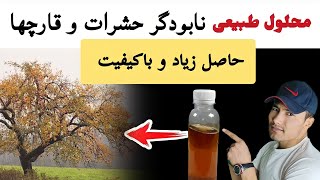 با این محلول طبیعی و دست ساز حشرات و آفات را نابود کن و حاصل زیاد و باکیفیت بگیر | باغبانی با آزاد