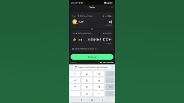 How to Convert Busd to BNB