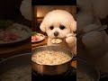 Melts in the mouth… Soft rice porridge ASMR mukbang 🥣 입에 넣자마자 사르르… 모찌의 부드러운 죽 먹방 ASMR #cute #강아지먹방