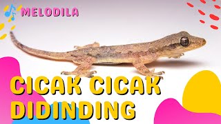 LAGU CICAK CICAK DI DINDING - Lagu Anak Anak screenshot 4