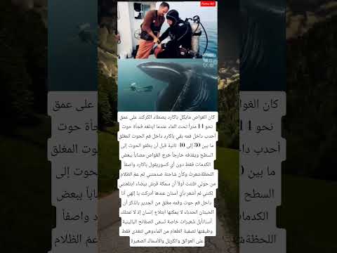 كان الغواص مايكل باكارد يصطاد الكركند على عمق نحو 14 مترا تحت الماء عندما ابتلعه فجأة حوت أحدب داخل