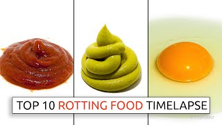 Top 10 Rotting Food Timelapses...