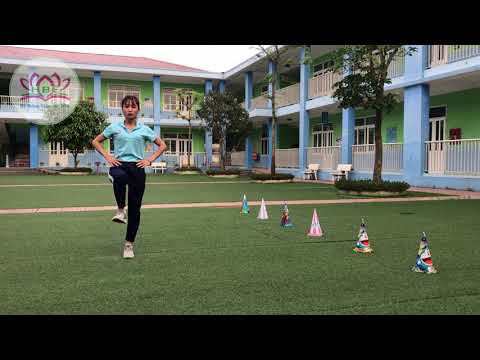 Video Phát triển thể chất: Bài tập VĐCB 