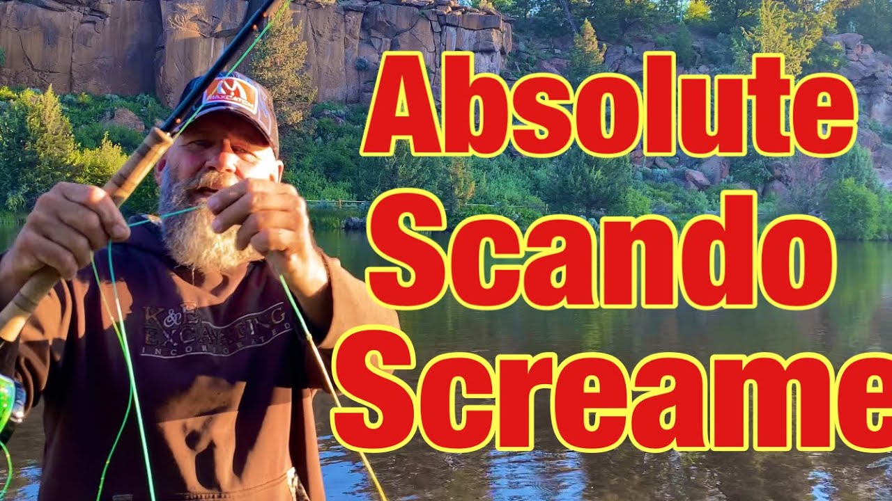 The Ultimate Multi Tip Shooting Head