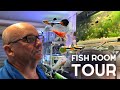 Breeding thousands of fish in a garage hobbyist fish room tour