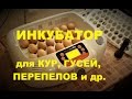 Инкубатор для кур гусей перепелов и др.