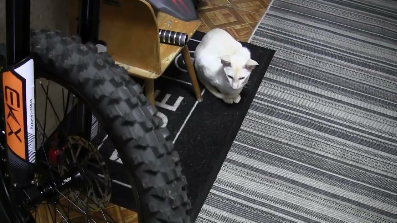 EKX X21 Max, очень даже хорош.