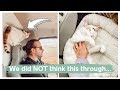 Moving Across the Country WITH OUR CAT in a UHAUL | Moving Vlog #5 | Dingle