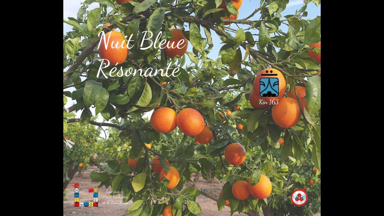 Kin 163, Nuit Bleue Résonante