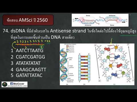 วีดีโอ: เหตุใด A และ T และ G และ C จึงจับคู่ในเกลียวคู่ของ DNA