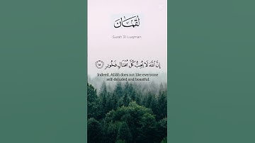 سورة لقمان❤️ - يا بني اقم الصلاة.. 🥺 #quran #اكسبلور #لايك #qurantilawat #راحة_نفسية #القرآن_الكريم