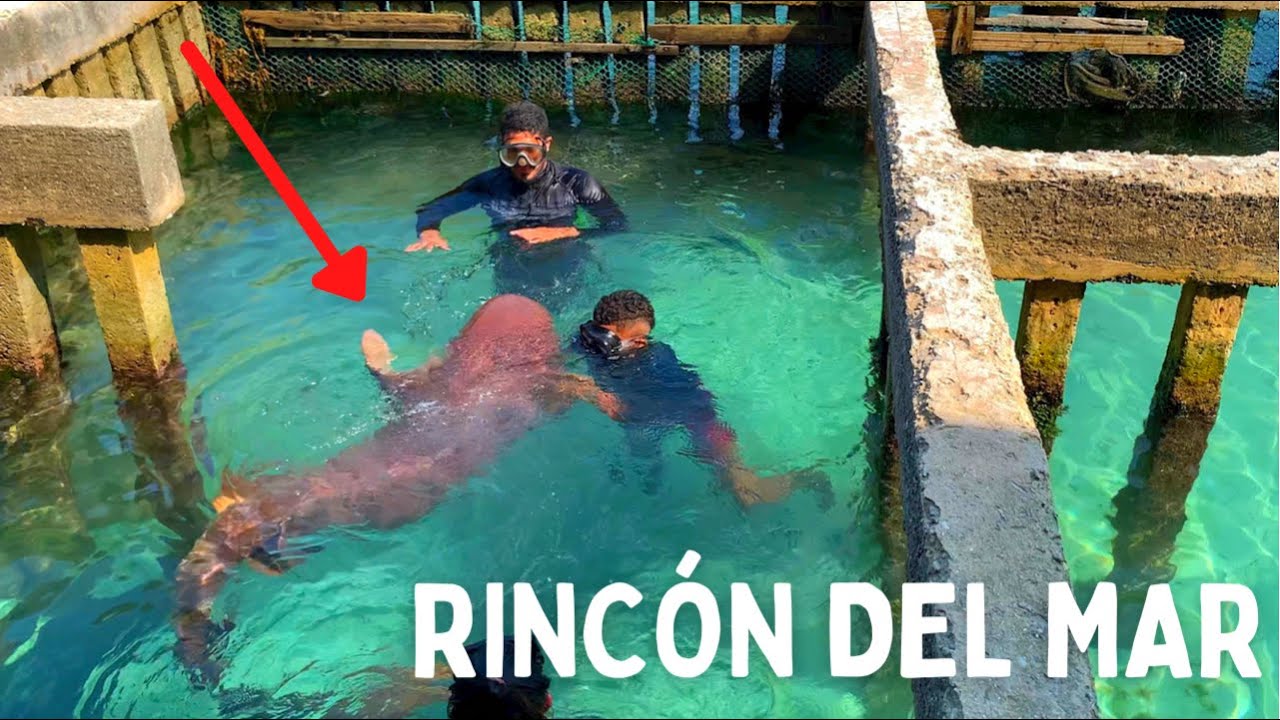 RINCON DEL MAR, Sucre 🏖️ Isla MUCURA, TINTIPAN, Santa Cruz del ISLOTE - GUIA 2021 (San Bernardo)