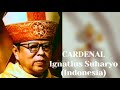 61 cardenal ignatius suharyo catlicos catholics cardenales cnclave
