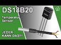 Der DS18B20 Temperatur Sensor mit 1-wire Bus, einfach erklärt! | #EdisTechlab