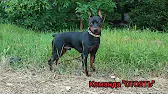 Сергей Ахтырец