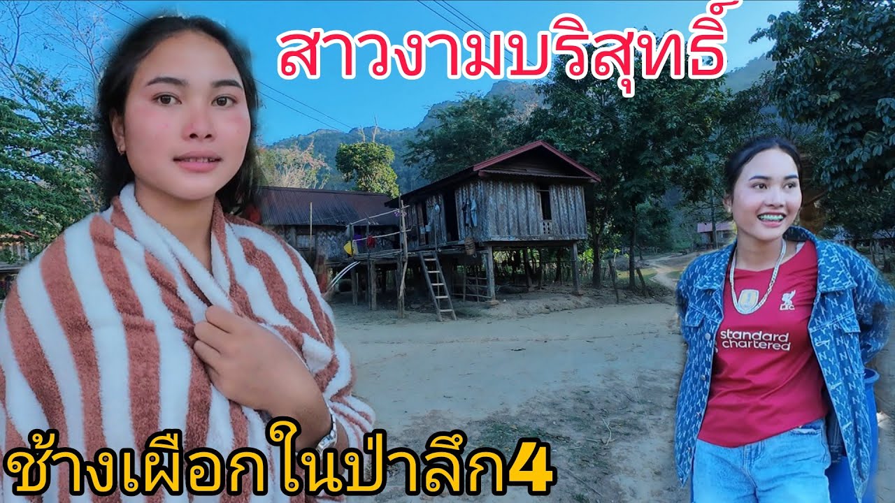 สาวงามบริสุทธิ์ช้างเผือกในป่าลึก 4