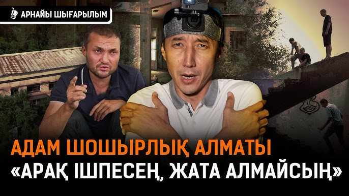 Мысықты кім жалады?